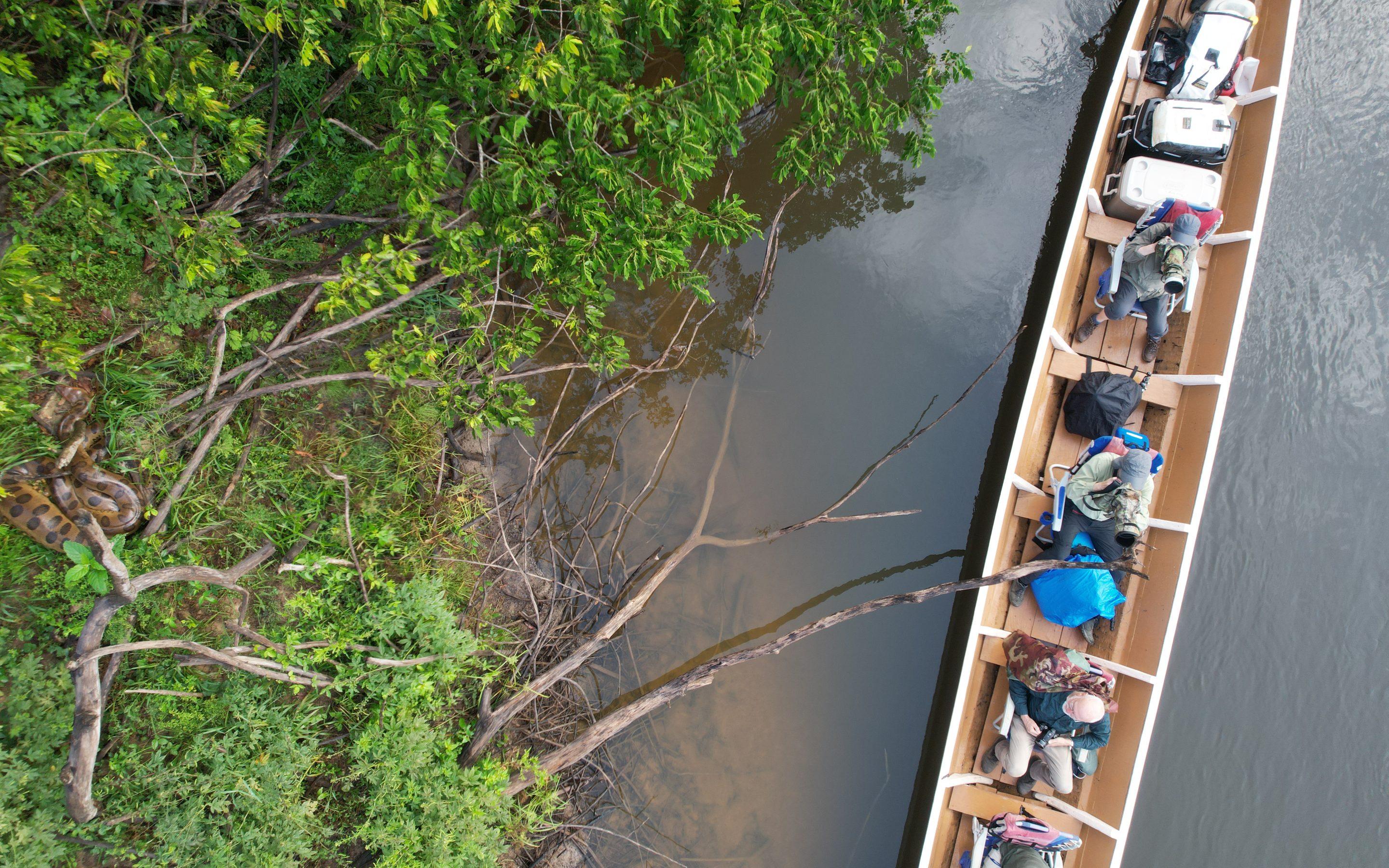 Suriname: A Dream Destination for Every Traveler