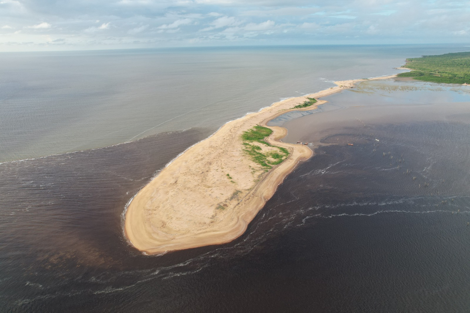 Uitzicht over het regenwoud en een rivier in Suriname