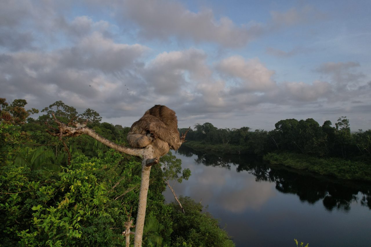 Suriname